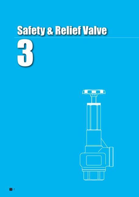 Safety & Relief Valve