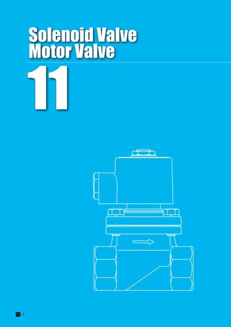 Solenoid Valve / Motor Valve