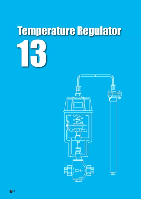Temperature Regulator