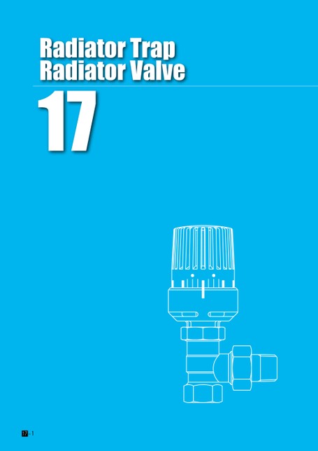 Radiator Trap / Radiator Valve